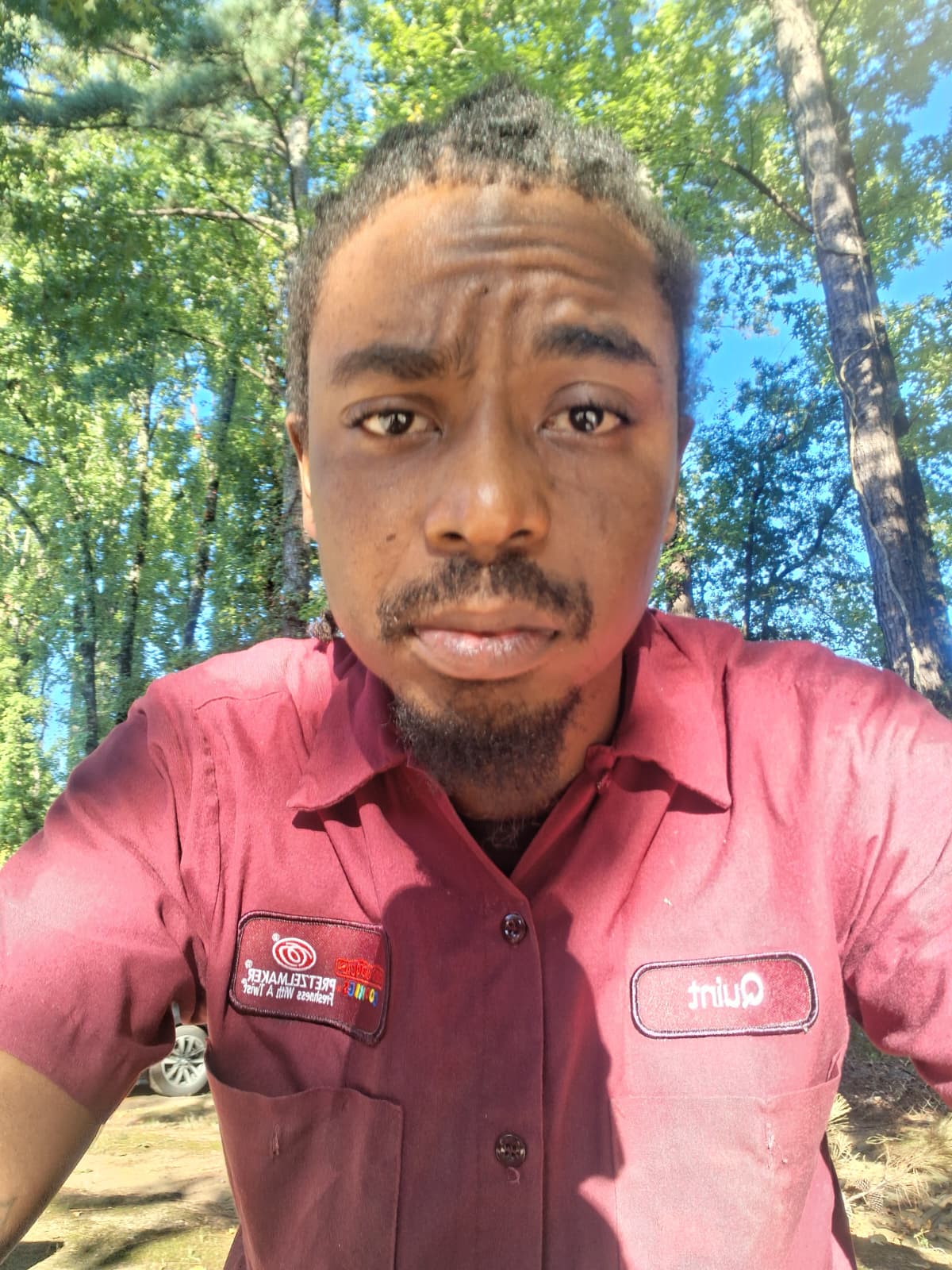 Mike's LA Landscaping