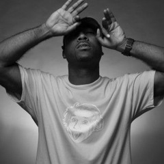 Vice Rap Musician & Artist